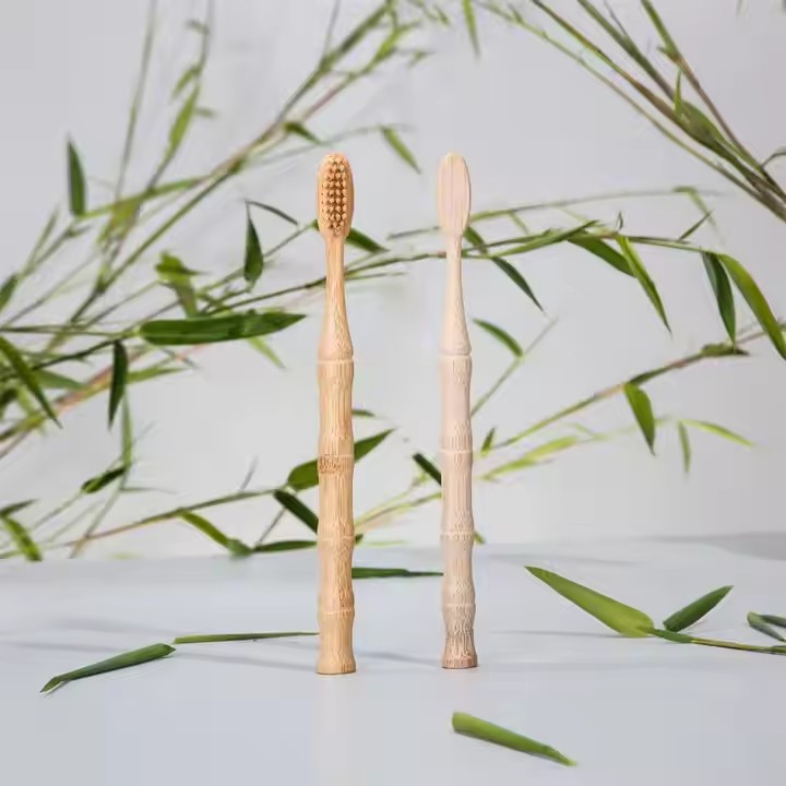 Pourquoi choisir une brosse à dents en bambou?